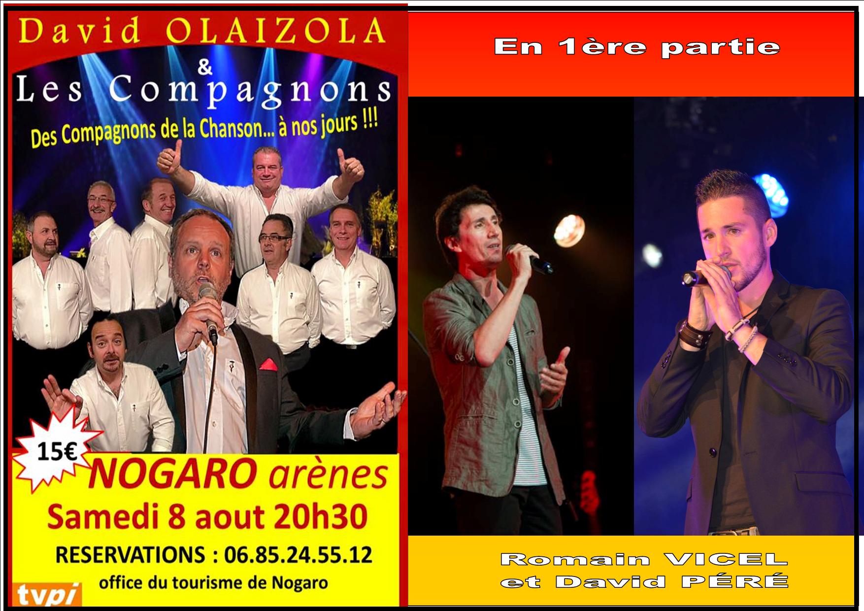 Radio D Artagnan David Olaizola Dans Les Arenes De Nogaro Le Samedi 8 Aout Avec En 1ere Partie Romain Vicel Et David Pere radio d artagnan